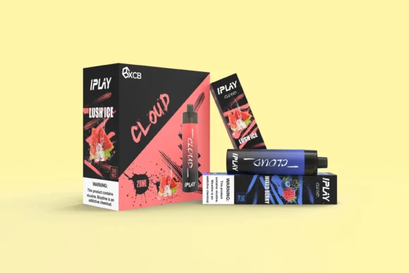 Disposable Vape Boxes - Image 2