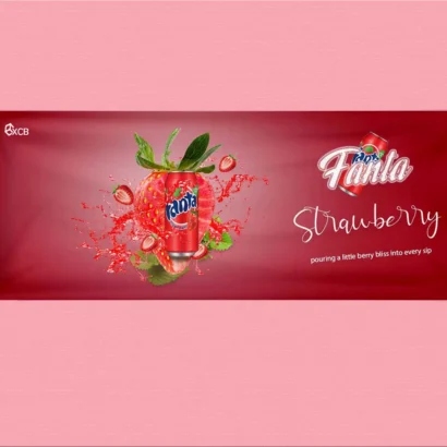 Vinyl Banners