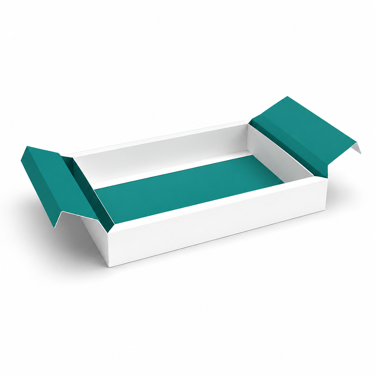 Spine Tray - Image 2